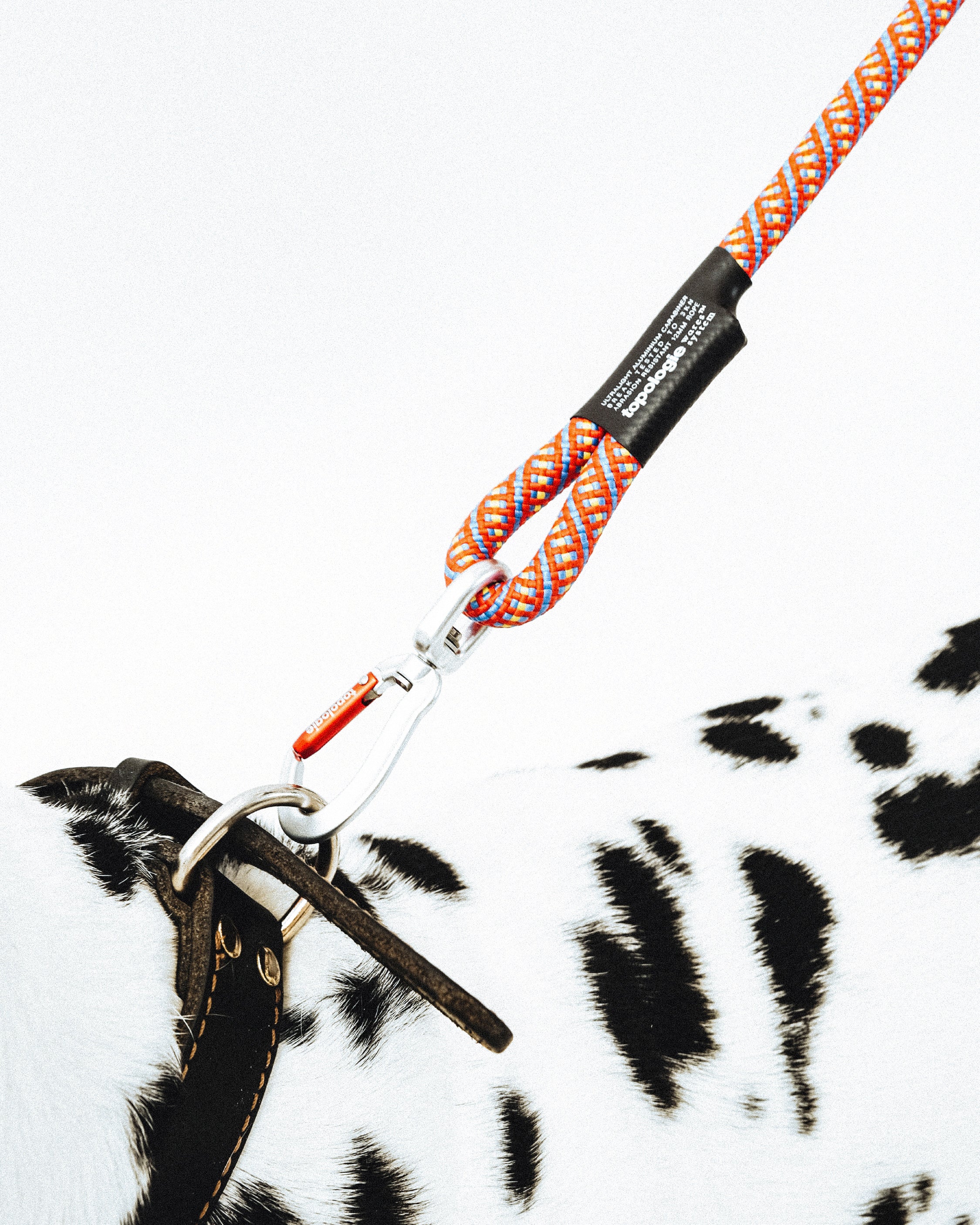 8.0mm Leash（8.0mm リーシュ） – Topologie (トポロジー)