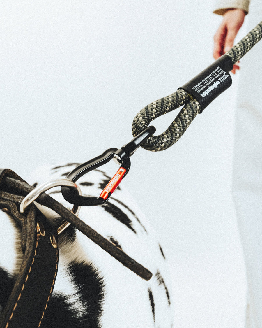 12mm Utility Leash – Topologie (トポロジー)