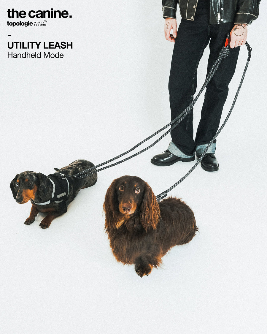 12mm Utility Leash – Topologie (トポロジー)
